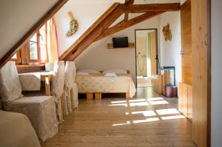 Wellness hotel & minipivovar Kněžínek - České Budějovice - 4