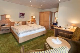 WILLINO Privathotel - Willingen - 9