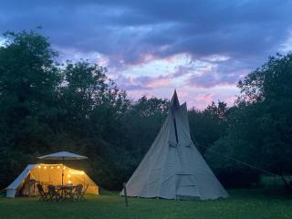 Dragonfly Lodge Ifold & Alpaca My Tipi Glamping - Billingshurst - 1