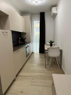 Covaciu aparthotel - Cluj-Napoca - 8