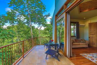 Rainforest Estate - 5