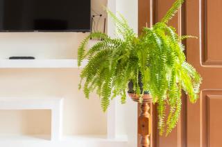 2 bdr central apt, Palmarejo & Free WIFI - LCGR - Praia - 6
