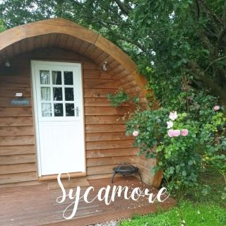 Caplor Glamping & Lodges - Hereford - 9