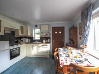 The Annexe Llandysul - 9