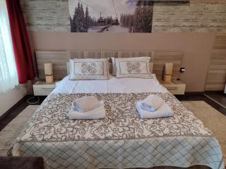 Apartman Tiva - Milmari Resort-garažno mesto-GRATIS - Kopaonik - 5
