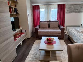 Apartman Tiva - Milmari Resort-garažno mesto-GRATIS - Kopaonik - 2