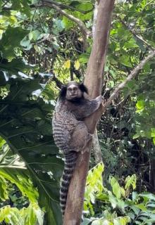 Recanto Natureza - 8