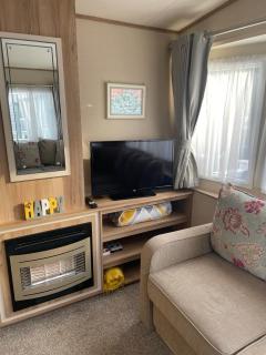 narcissus - Ferndown - 8