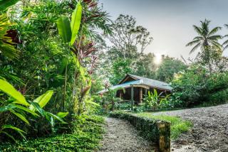 Drake Bay Getaway Resort by Sandglass - Drake - 6