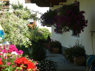 Appartement Hochmuth - 1