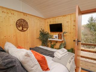 Red Kite at Wild Valley Huts - 3