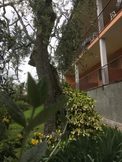 Lake View Tonini Apartments - 2