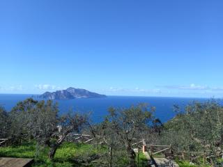 La finestra su Capri - Massa Lubrense - 0