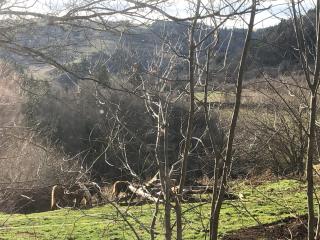 BASALTE - Saint-Front - 5