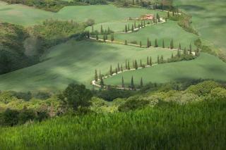 Monteverdi Tuscany - Castiglioncello del Trinoro - 2