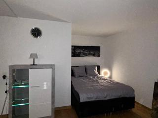 LentulusSkyAppartement - Bern - 9
