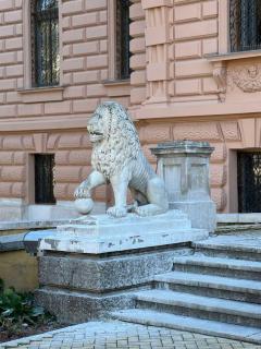 DANA GUEST HOUSE - Sremski Karlovci - 6