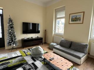 DANA GUEST HOUSE - Sremski Karlovci - 1