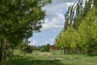 Finca La Vilina - Cabaña 1 - 8