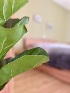 Edessa Woodland Retreat - Edessa - 5