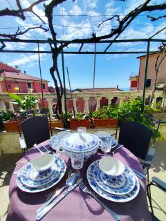 -La Terrazza nel Vigneto- [Golfo dei Poeti] - 9