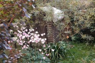 Cosy 1 bedroom with garden 2 min from seafront - Brighton & Hove - 8
