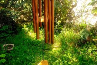 Cosy 1 bedroom with garden 2 min from seafront - Brighton & Hove - 5