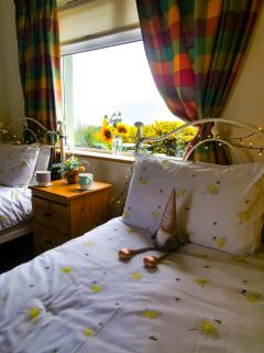 Causeway Coast Country Cottage, Pet-friendly - 1