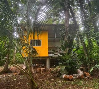 Tiny jungle house, few minutes from the beach - Cocles - 0