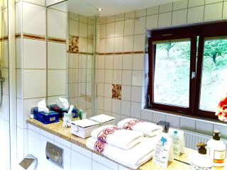 Dornröschen - Höchst im Odenwald - 2