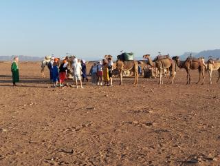 Bivouac boussakri - Tinfo - 1