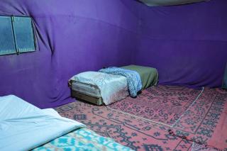 Bivouac boussakri - Tinfo - 2