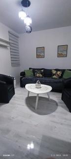 APARTMAN ANĐA - Banja Koviljača - 5