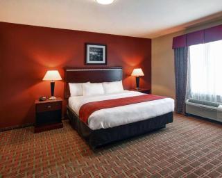 Comfort Suites Lake Worth - Fort Worth - 8