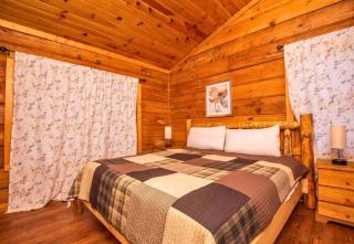 Romantic Cabin, Hot Tub, WiFi, Fireplace - Sevierville - 5