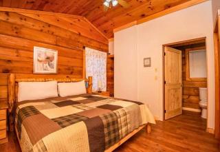 Romantic Cabin, Hot Tub, WiFi, Fireplace - Sevierville - 4