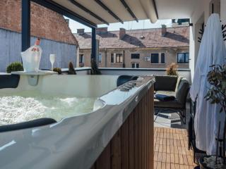 GAVAS Jacuzzi Relax Zen - Cluj-Napoca - 3
