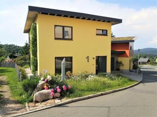 Gutsweg One - Apartment 3 - Eibenstock - 2