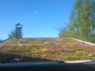 Gutsweg One - Apartment 3 - 4