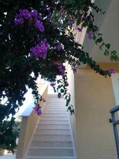 Apartments with parking space Razanj, Rogoznica - 22062 - 2