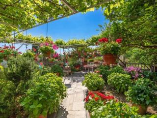 Apartments and rooms with a swimming pool Mlini, Dubrovnik - 22386 - 6