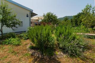 Holiday house with a parking space Srijane, Zagora - 22621 - Smoljanovići - 7