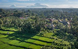 Kori Ubud Resort, Restaurant & Spa - 6