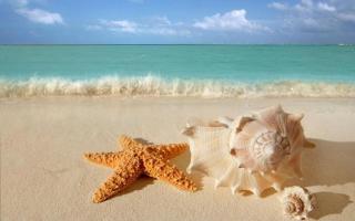 Lotus Furnished Hotel Apartments LLC. Ajman - 1