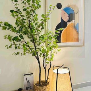 Modern, cozy home near Bui Vien Walking St-SOHO - Ho Chi Minh - 0