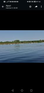 Pensiunea Ákos Delta Dunarii - 4