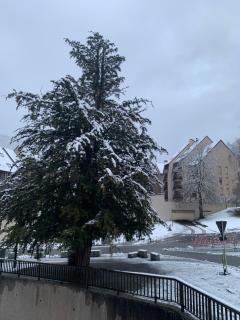 Appartement au pied des télécabines Res La Soulan - 5