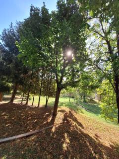 Aréna Apartman - Kaposvár - 8
