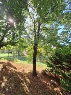 Aréna Apartman - Kaposvár - 9