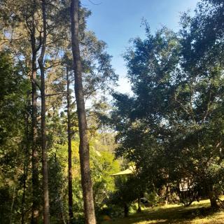 The Blue House - Nimbin - 8
